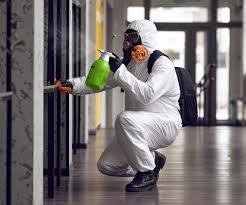 Why You Should Choose Our Mold Remediation Services in Bret Harte, CA